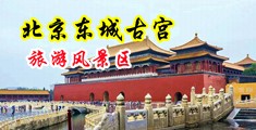 操逼视频的网址中国北京-东城古宫旅游风景区